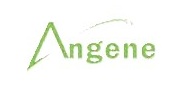 Angene Chemical